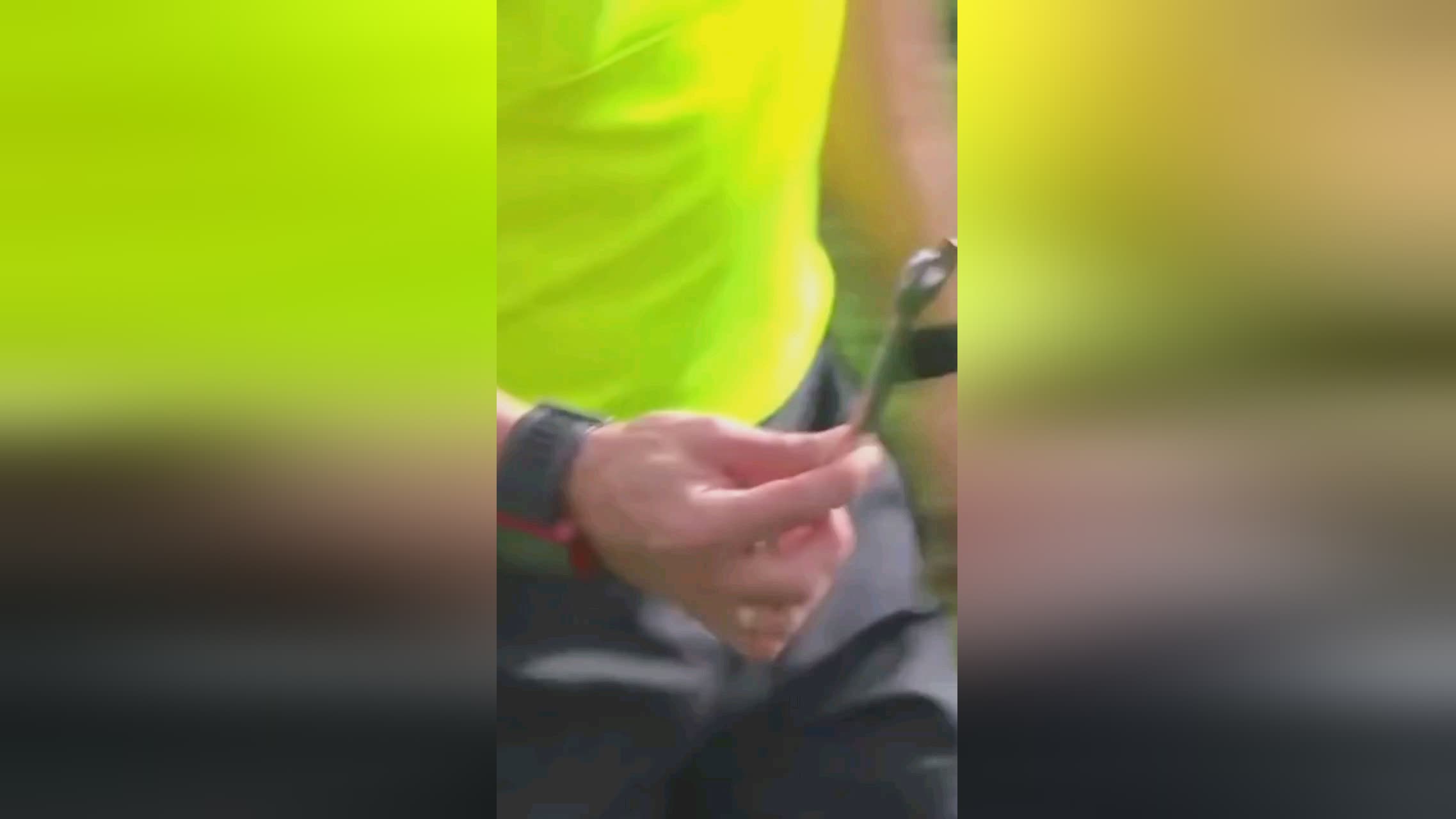 作用社